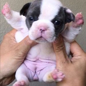 Meet your Posher, Roseann